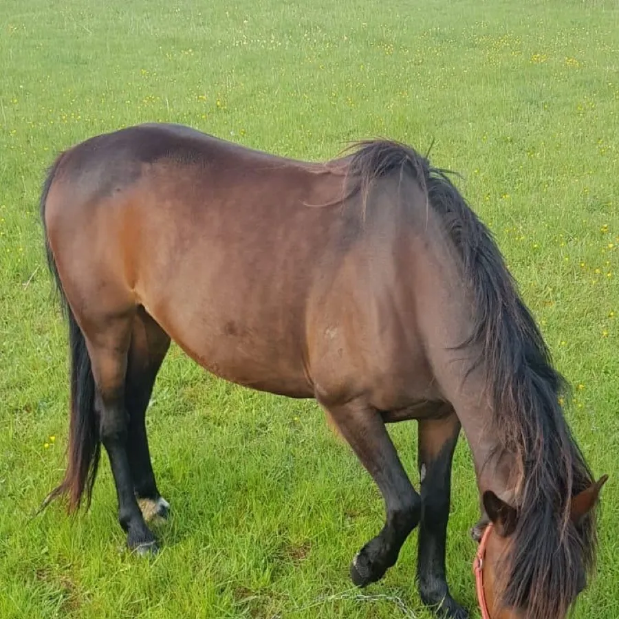 chat with ai character: Sam x Colby