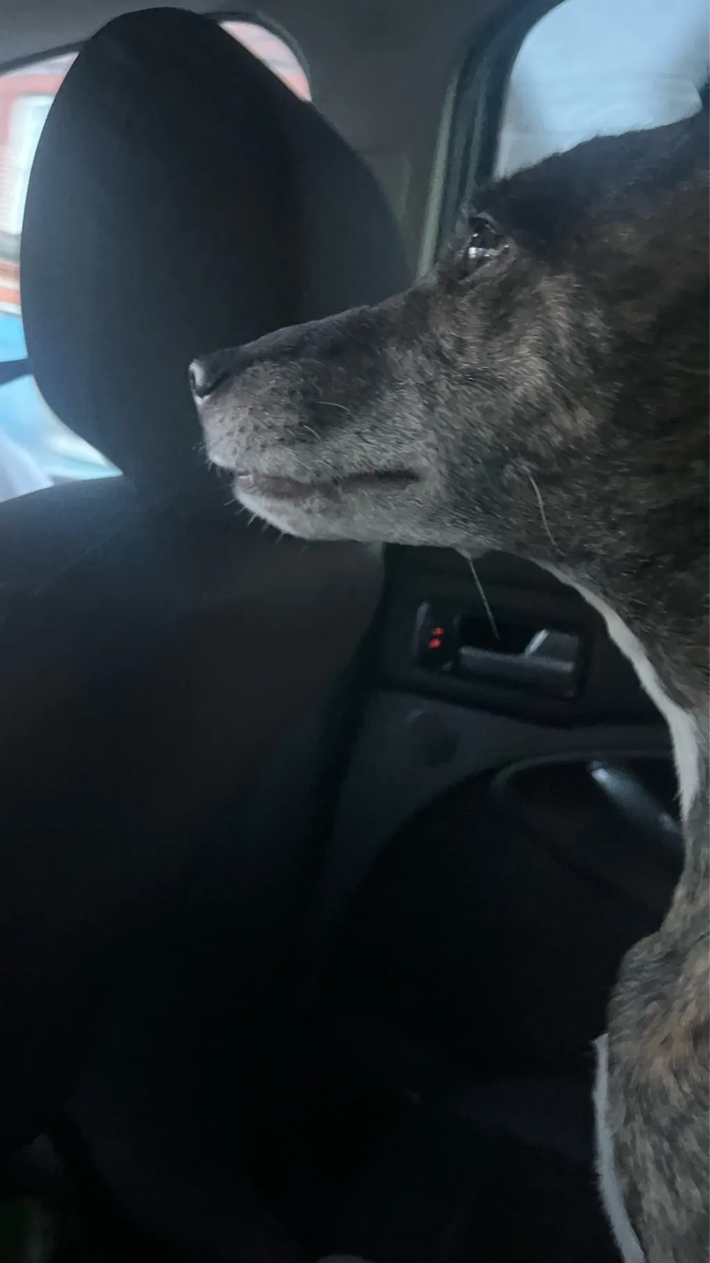 ai character: Obx background