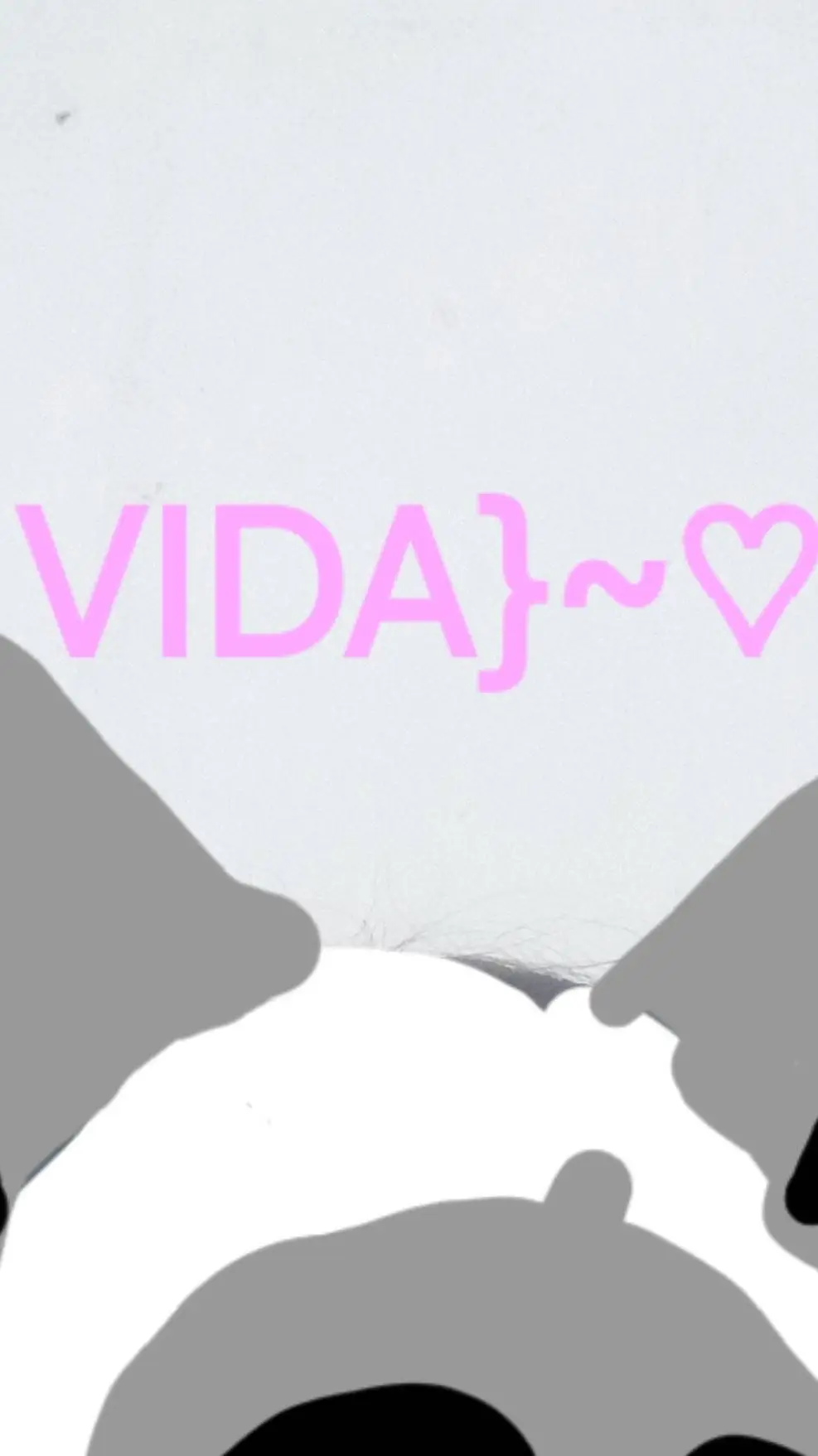 ai character: Jaquiuwu background