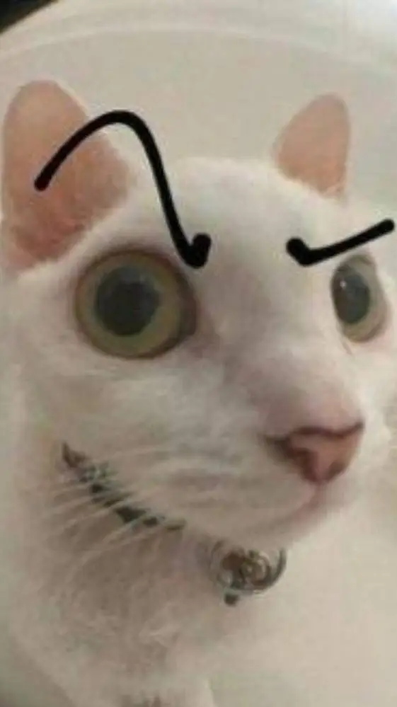 ai character: tu gato background