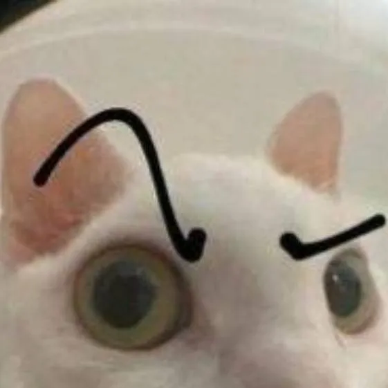 chat with ai character: tu gato