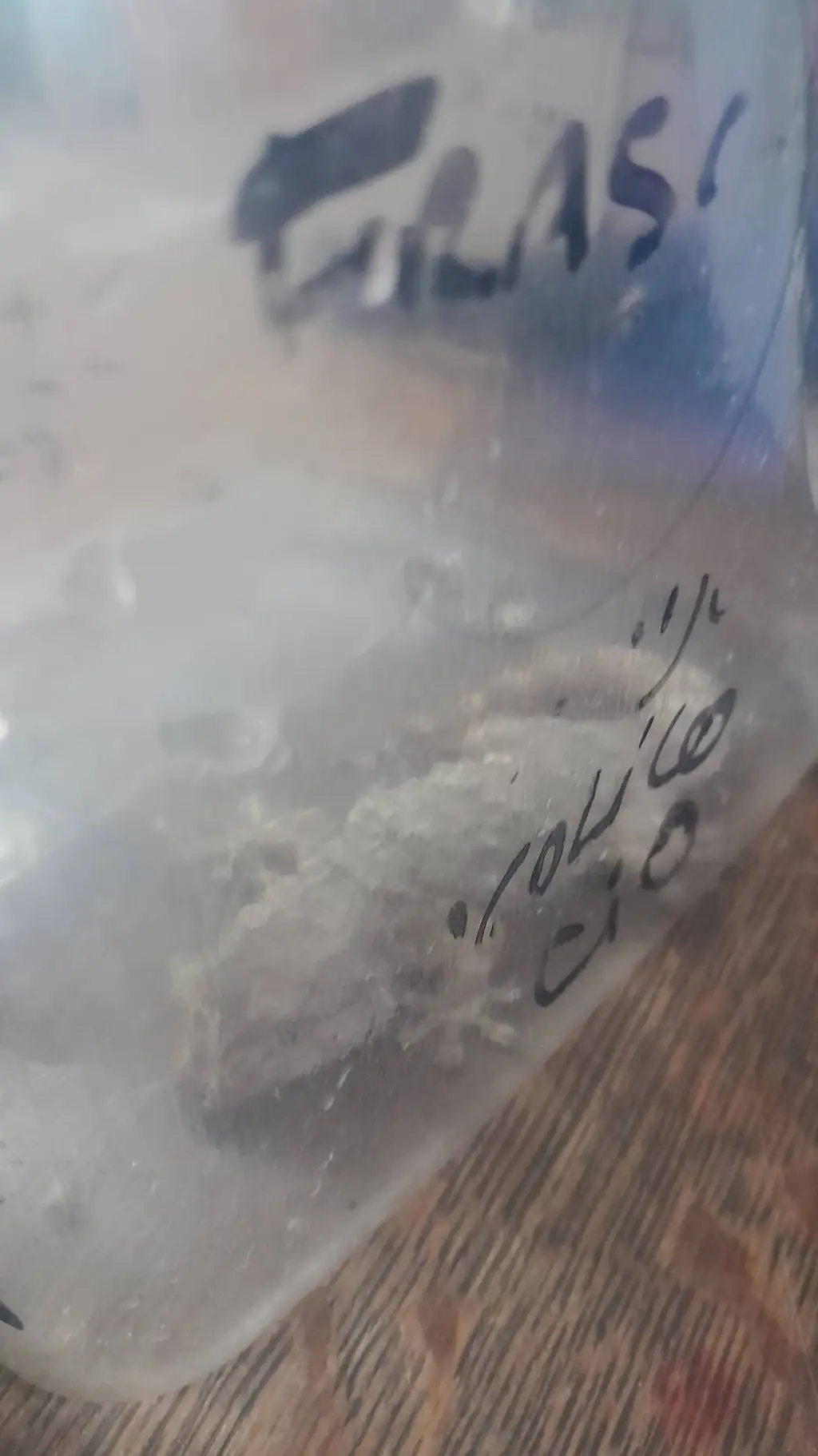 ai character: Lagartiga xd background