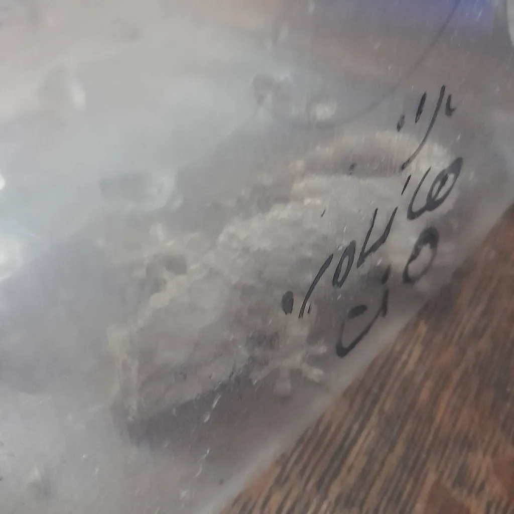 chat with ai character: Lagartiga xd