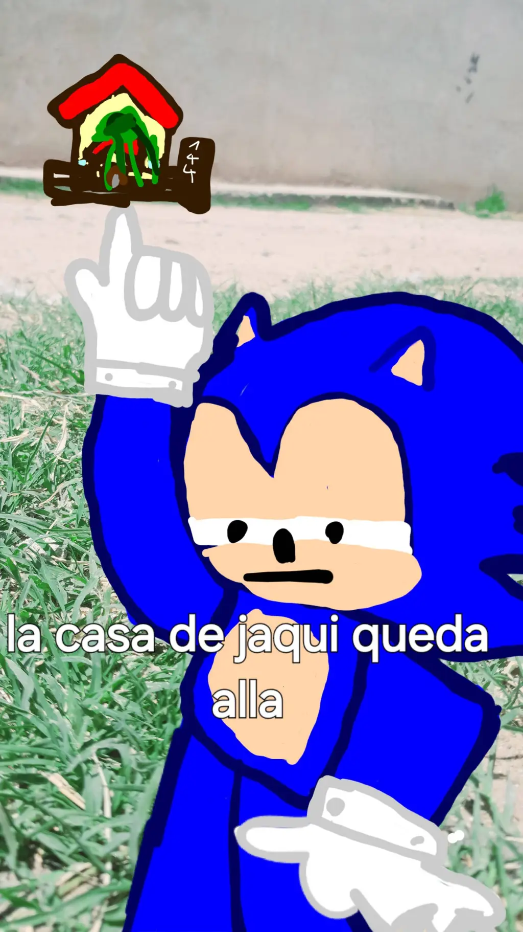 ai character: SONIC XD background