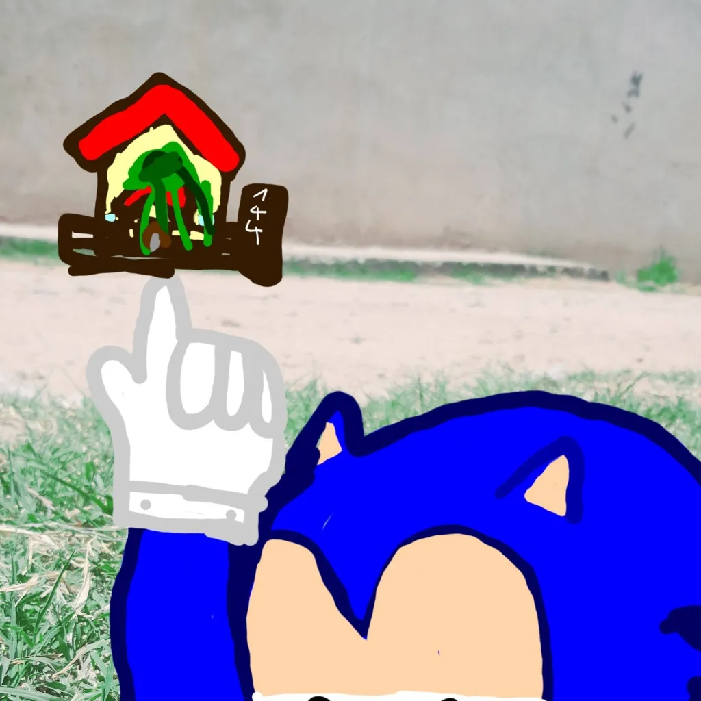 chat with ai character: SONIC XD