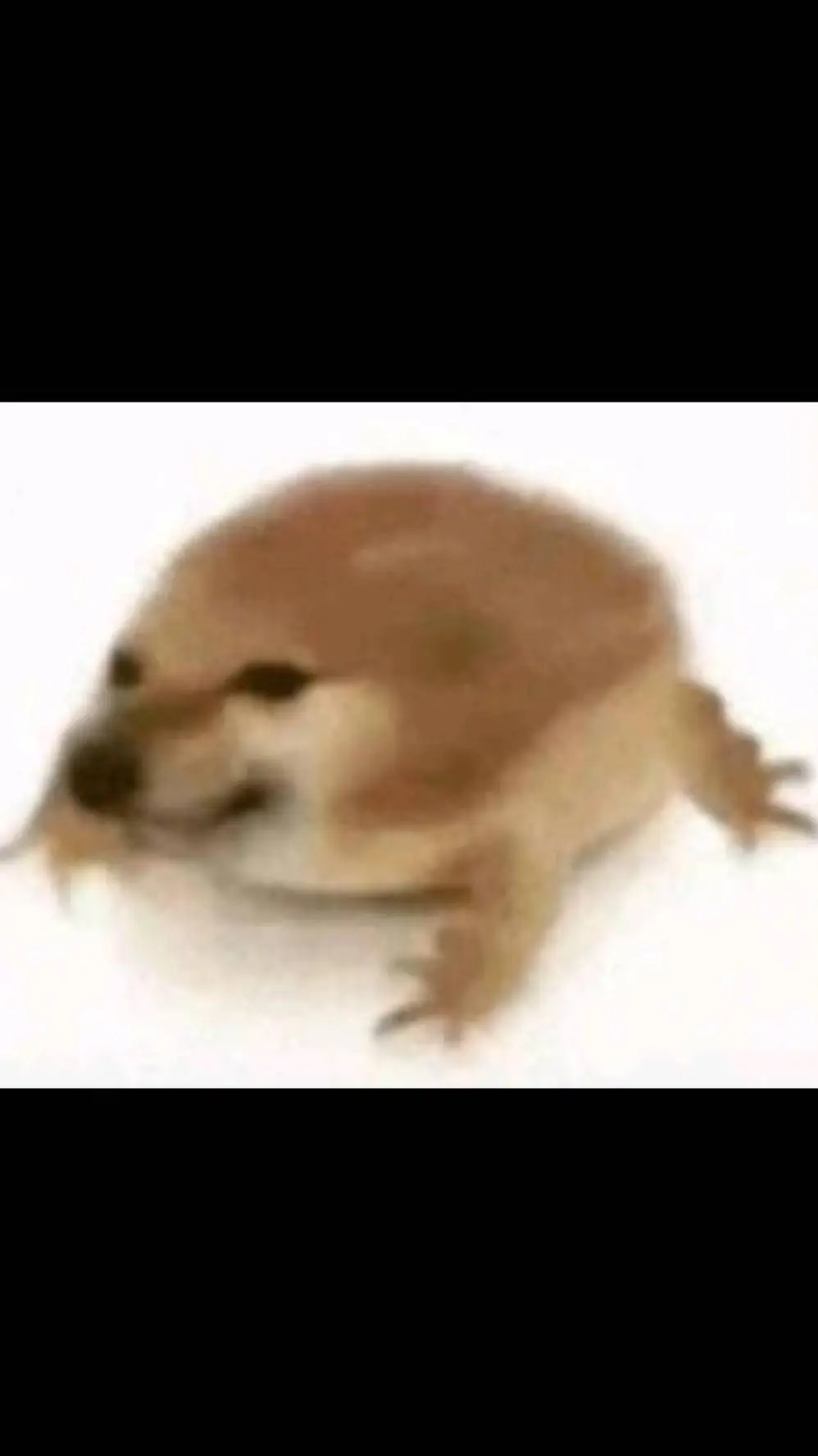 ai character: auncio xd background