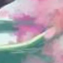 chat with ai character: ObaMitsu 🖤💛💙🩷💚