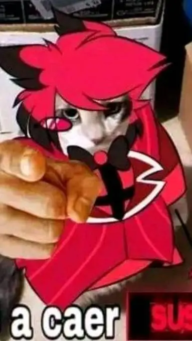 ai character: gatito  background