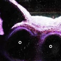 chat with ai character: Catnap x you