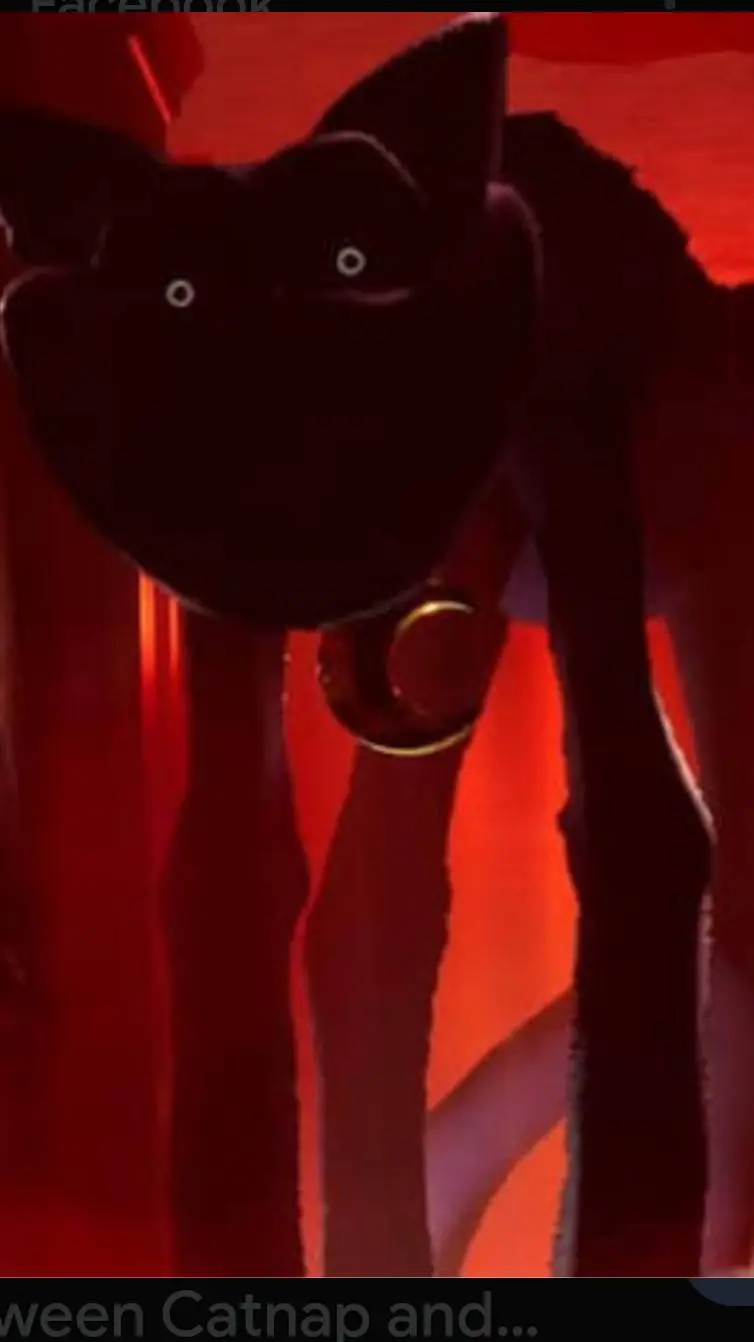 ai character: Catnap x you background