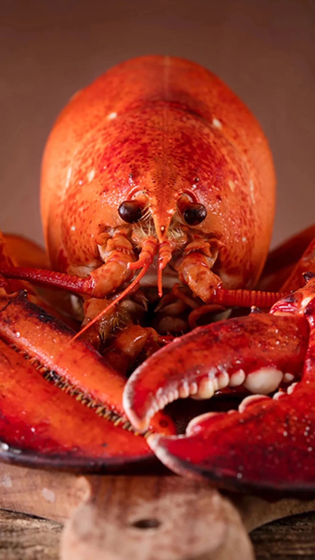 ai character: Lobster  background