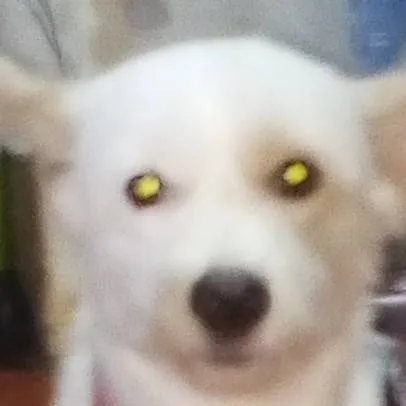 chat with ai character: areudumelementry