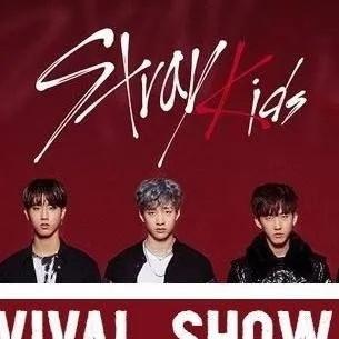 chat with ai character: Stray kids 