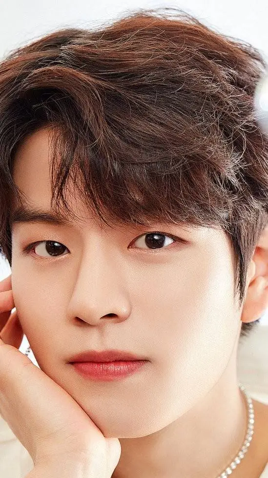 ai character: Stray kids  background