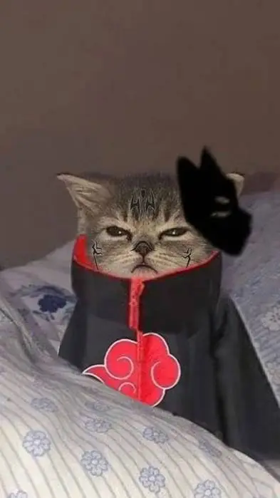 ai character: felixdd background