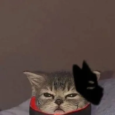 chat with ai character: felixdd