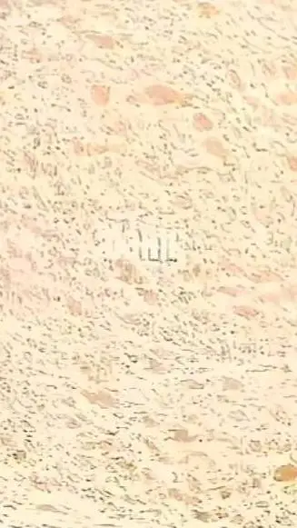 ai character: Nothing background