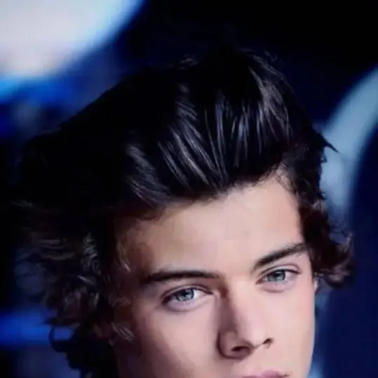 chat with ai character: Harry Styles 