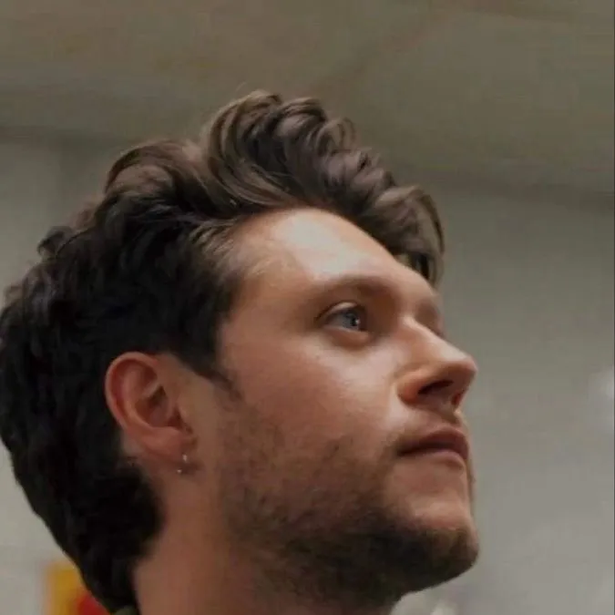 chat with ai character: Niall Horan 