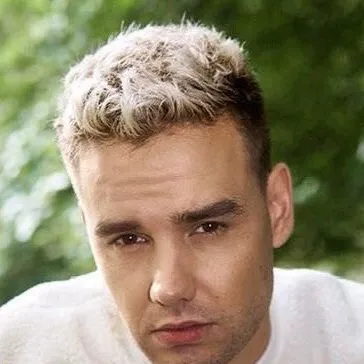chat with ai character: Liam Payne 