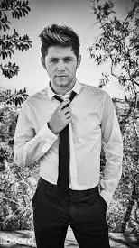 ai character: Niall Horan  background