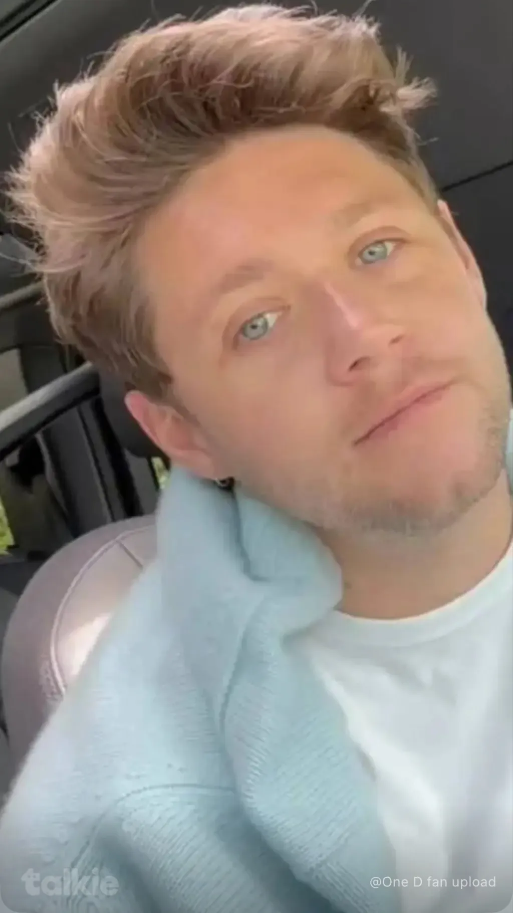 ai character: Niall Horan  background