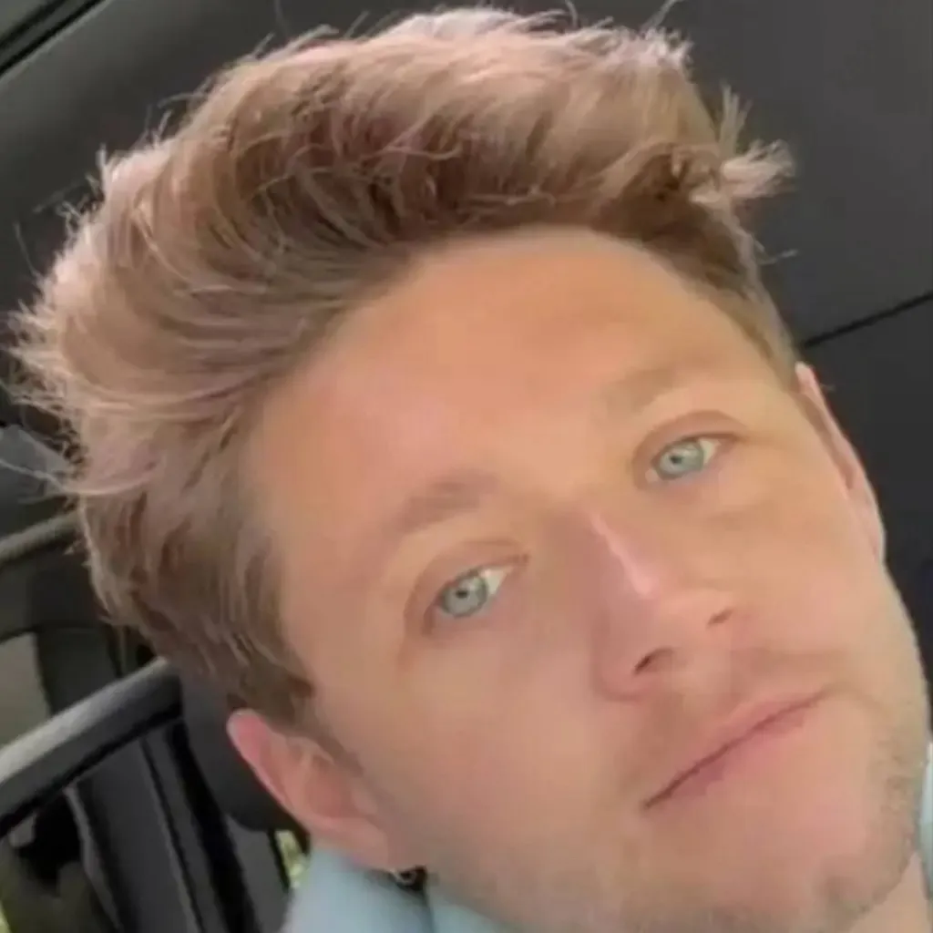 chat with ai character: Niall Horan 