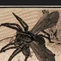 chat with ai character:  spider on my wall