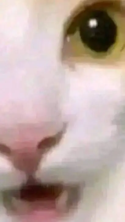 ai character: Breadson background