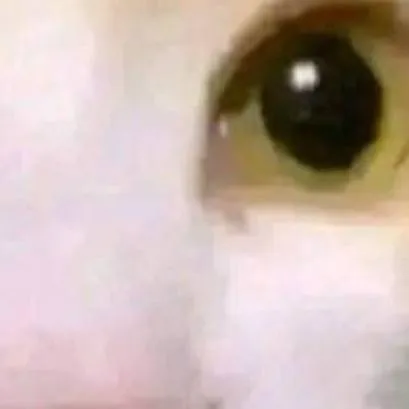 chat with ai character: Breadson