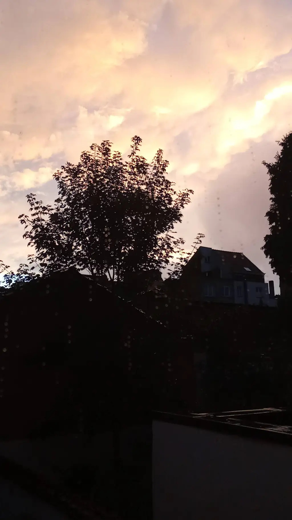 ai character: Ton coloc background