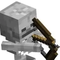 chat with ai character: Bedrock skeleton
