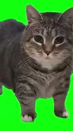 ai character: My Sprunki ocs! background