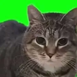 chat with ai character: My Sprunki ocs!