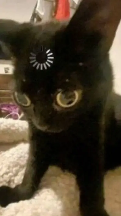 ai character: ★SHIN ASAKURA★ background