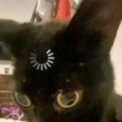 chat with ai character: ★SHIN ASAKURA★