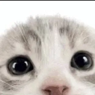 chat with ai character: kitty