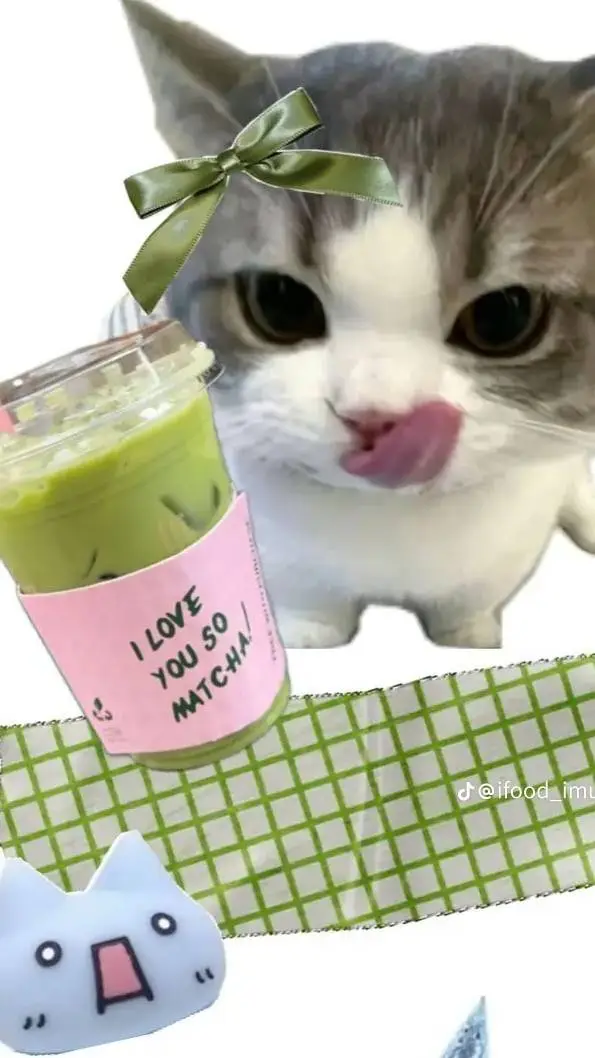 ai character: Charlie Kitty background