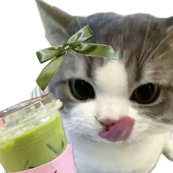 chat with ai character: Charlie Kitty