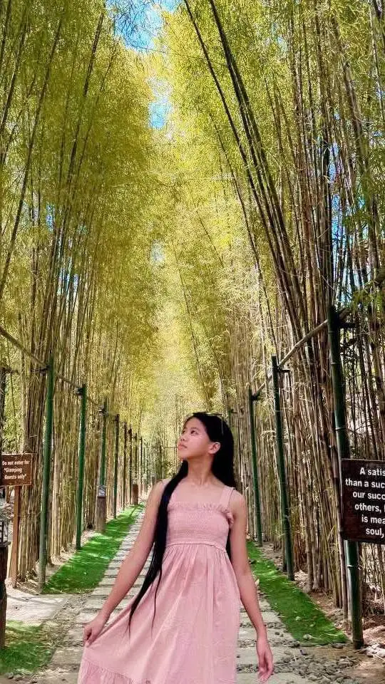 ai character: Guider Krizea background