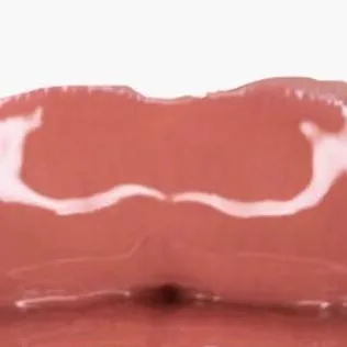 chat with ai character: daddy long legs