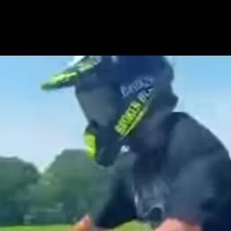 chat with ai character: Mairo