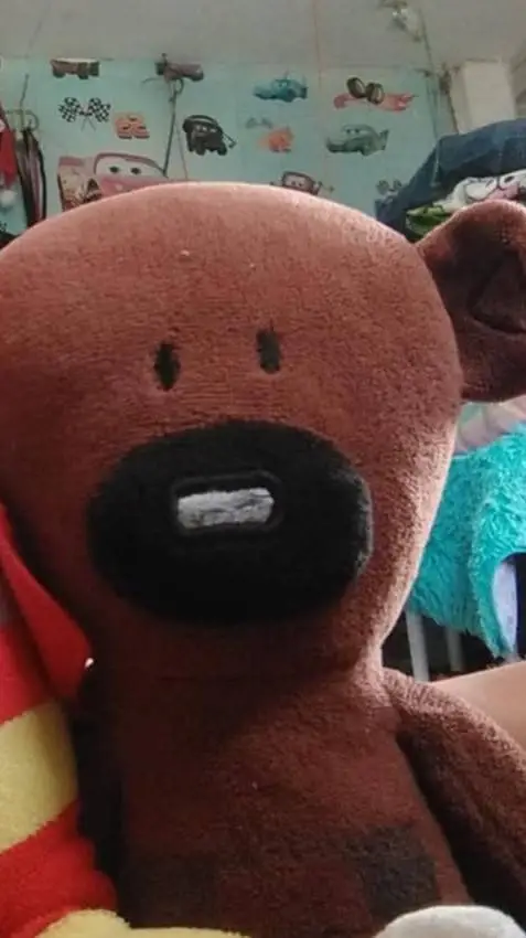 ai character: part2 teddy background