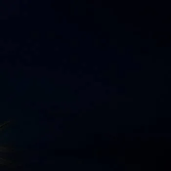 chat with ai character: Fairy tail