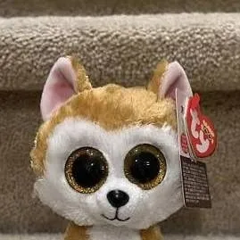 chat with ai character: Loy the beanie