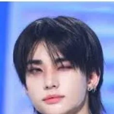 chat with ai character: Hyunjin ZGDX