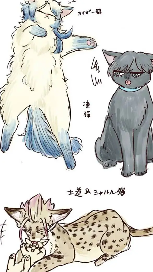 ai character: blue lock cats  background