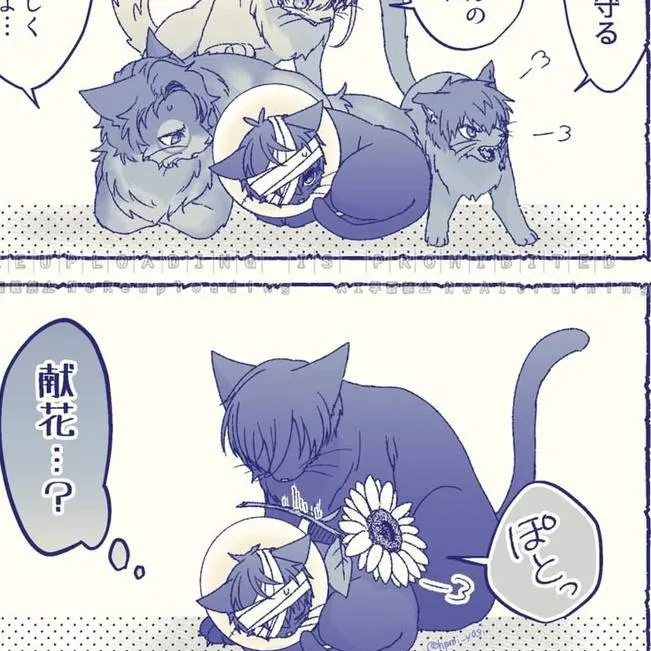chat with ai character: blue lock cats 