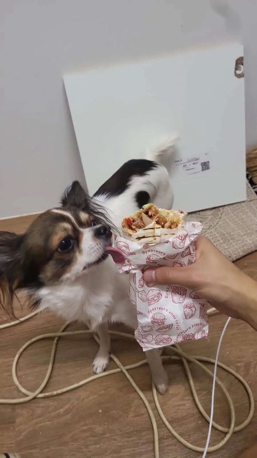 Talkie AI - Chat with Kate