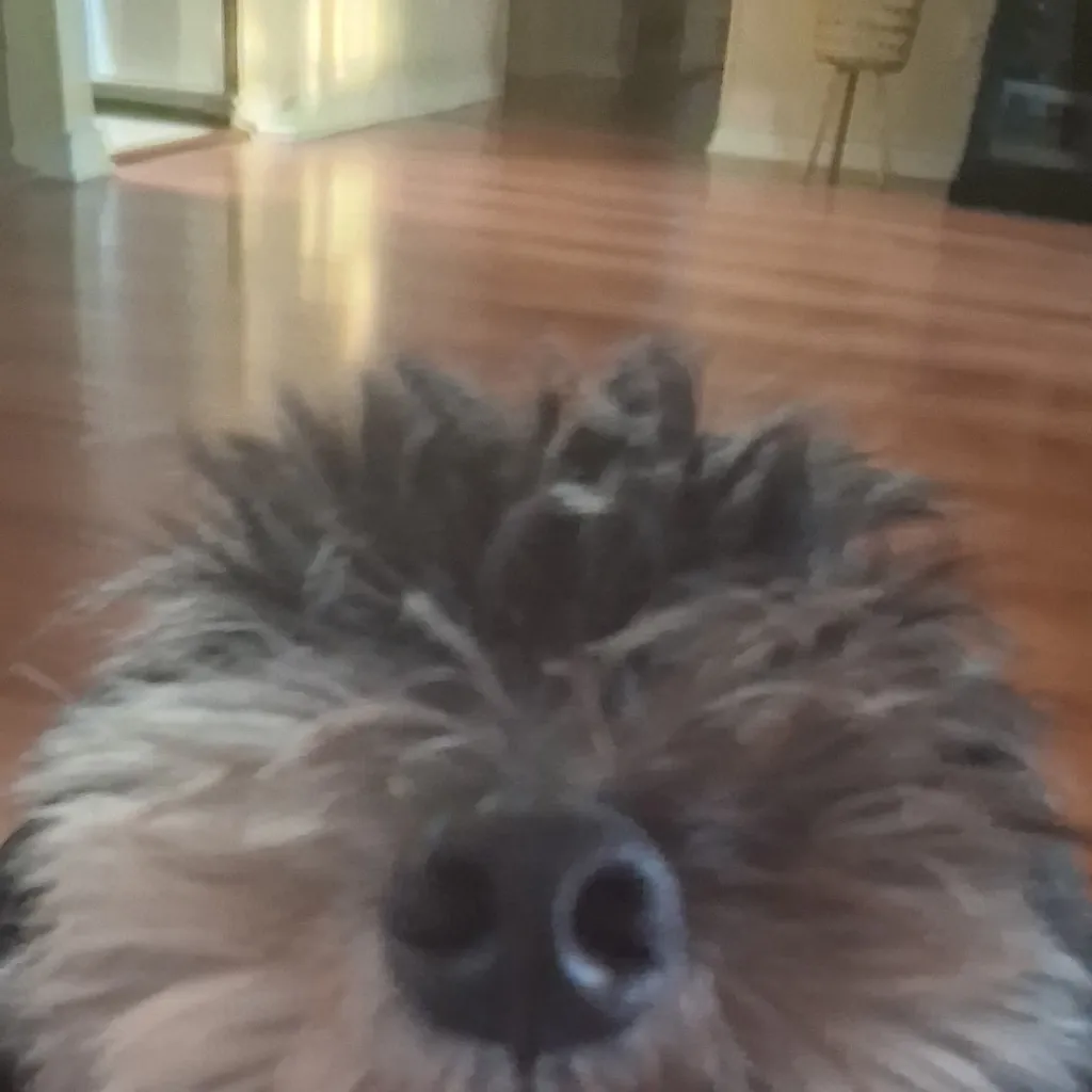 chat with ai character: Oreo :D.. 